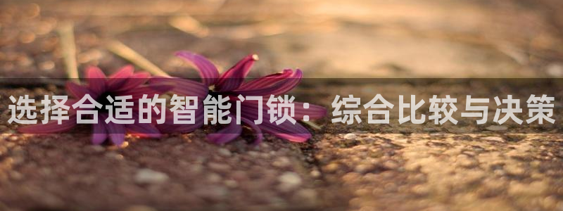 富联娱乐总代理怎么样：选择合适的智能门锁：综合比较与决策