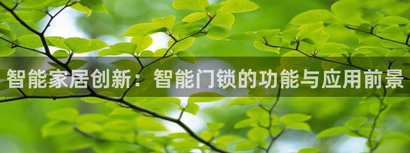 富联娱乐 找86555：智能家居创新：智能门锁的功能与应用前
