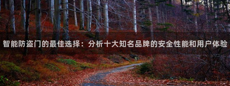 富联娱乐总裁简介图片大全：智能防盗门的最佳选择：分析十大知名