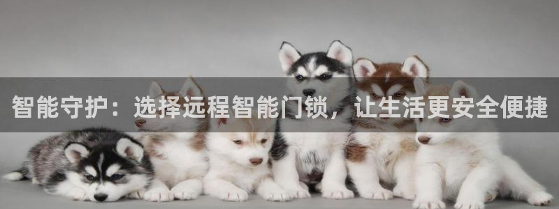 富联娱乐了67OO6：智能守护：选择远程智能门锁，让生活更安