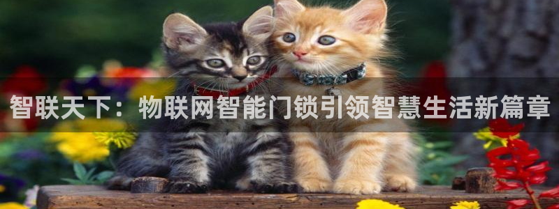 富联娱乐寸六七五一38：智联天下：物联网智能门锁引领智慧生活