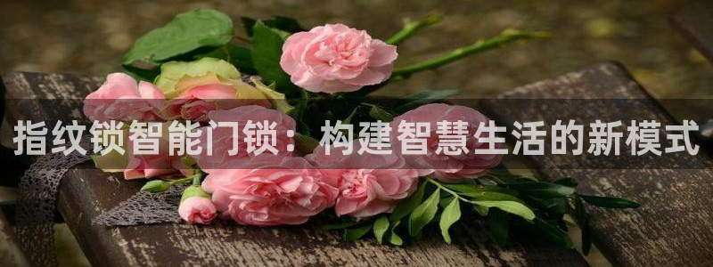 富联娱乐主管前原判官333OO：指纹锁智能门锁：构建智慧生活