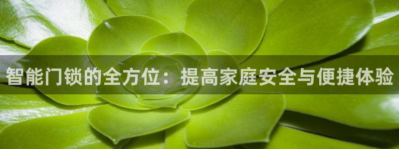 富联娱乐主管道去判官333OO：智能门锁的全方位：提高家庭安
