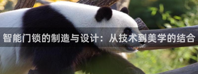 富联娱乐招商电话是多少：智能门锁的制造与设计：从技术到美学的