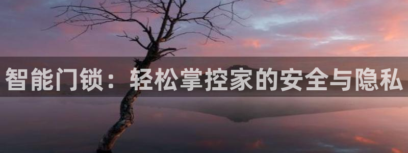 富联娱乐官方网站下载：智能门锁：轻松掌控家的安全与隐私