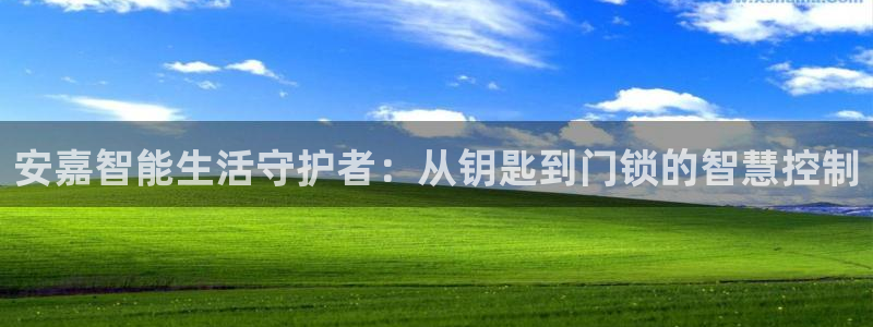 富联娱乐登录网址是多少：安嘉智能生活守护者：从钥匙到门锁的智