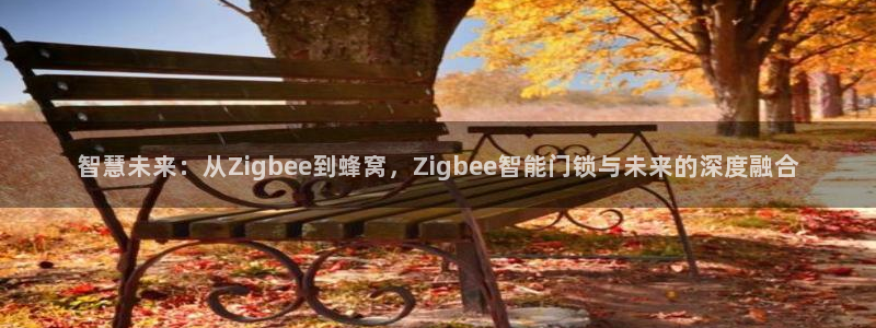 富联2娱乐贴吧官网：智慧未来：从Zigbee到蜂窝，Zigb