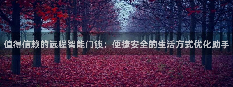 富联娱乐官方网站：值得信赖的远程智能门锁：便捷安全的生活方式
