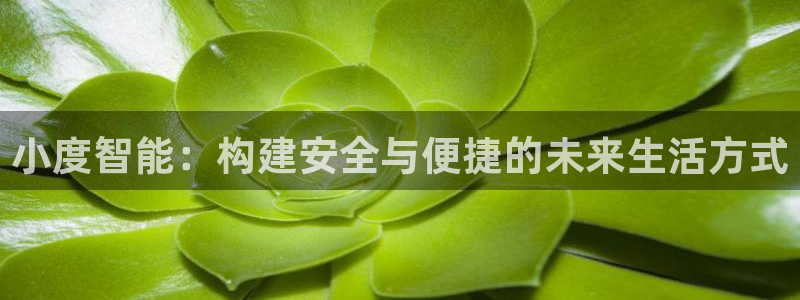 富联娱乐平台网址：小度智能：构建安全与便捷的未来生活方式