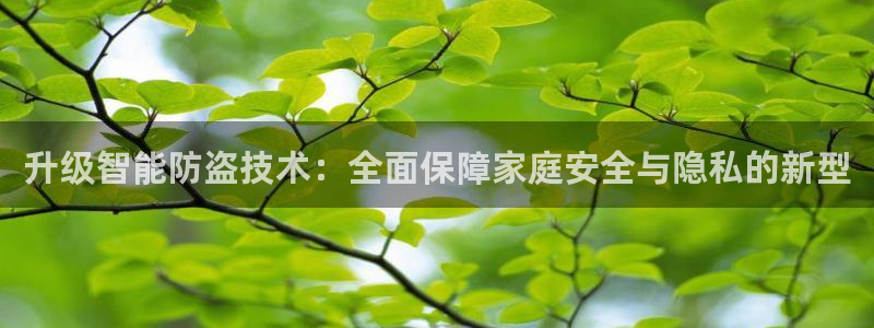 富联娱乐主管是谁啊老板：升级智能防盗技术：全面保障家庭安全与