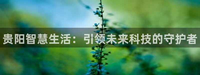 富联娱乐招商方判官333OO：贵阳智慧生活：引领未来科技的守