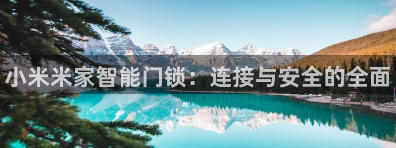 富联娱乐注册那判官333OO：小米米家智能门锁：连接与安全的