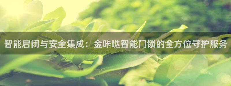 富联娱乐注册21192：智能启闭与安全集成：金咔哒智能门锁的